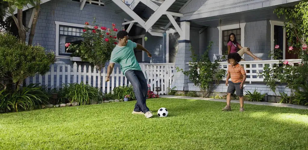 Lawn transformation by Lawn Squad of Cleveland — after