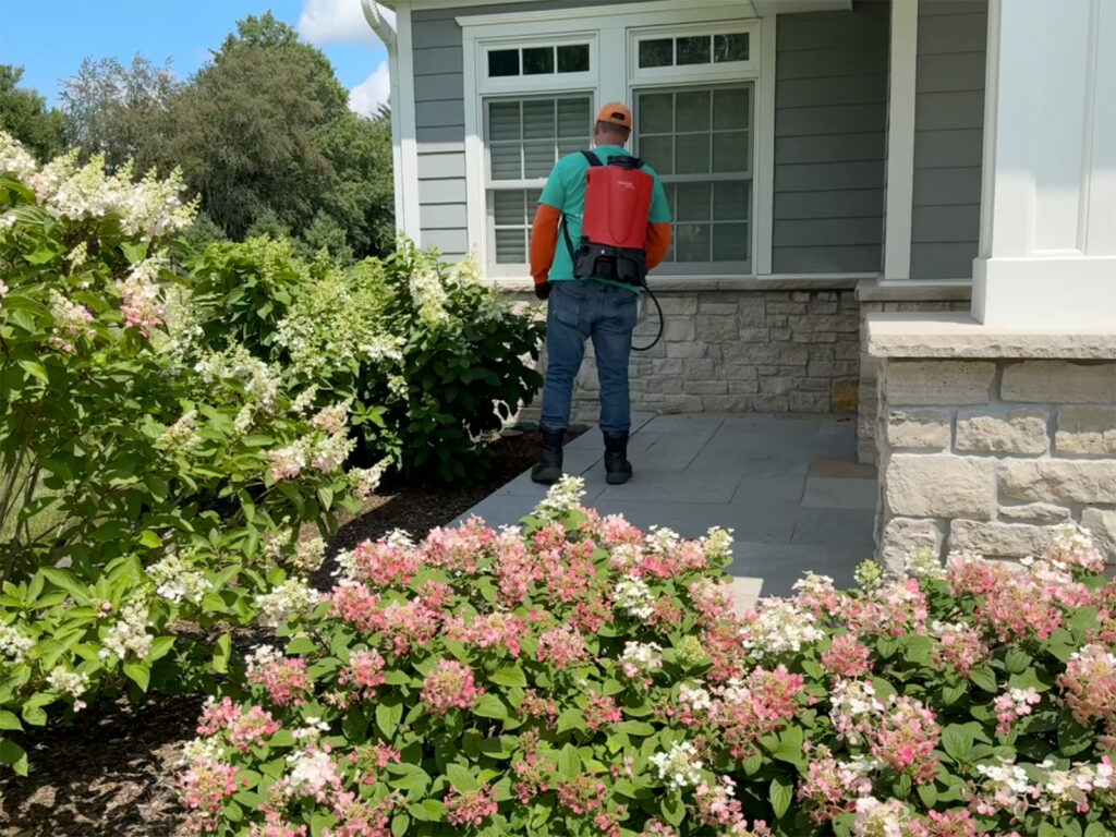 Bug Off Taylor's Way technician treating a home in the Illinois Valley