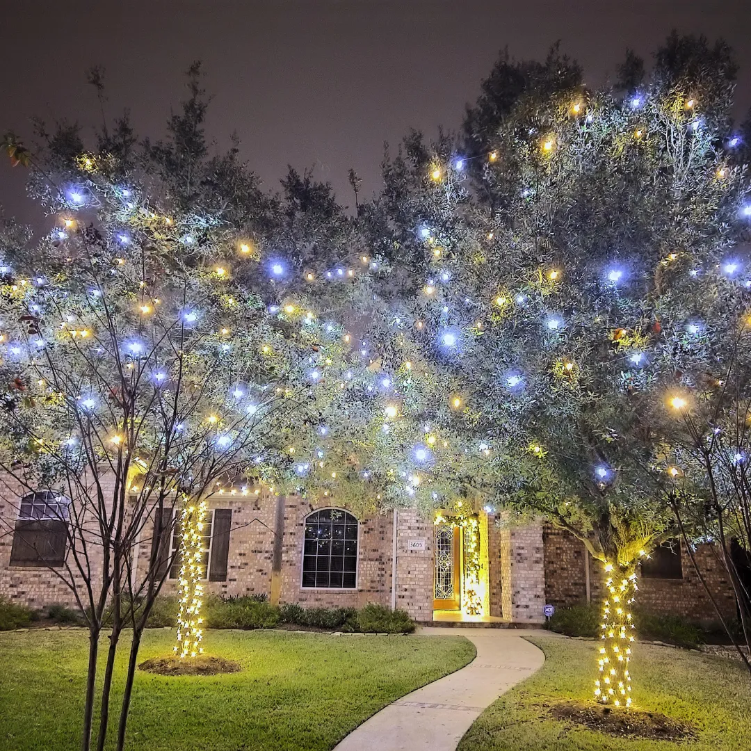 A brick home at night with two large front yard trees lit through the canopy in mixed cool white and warm white, both trunks wrapped in warm white, and a curved front path leading to a lit doorway