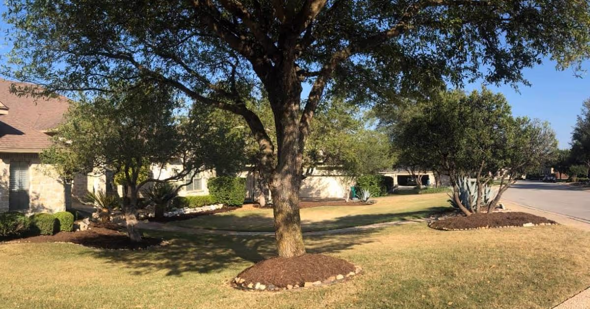 Lawn care and mulch installation by Macario Brothers in San Antonio