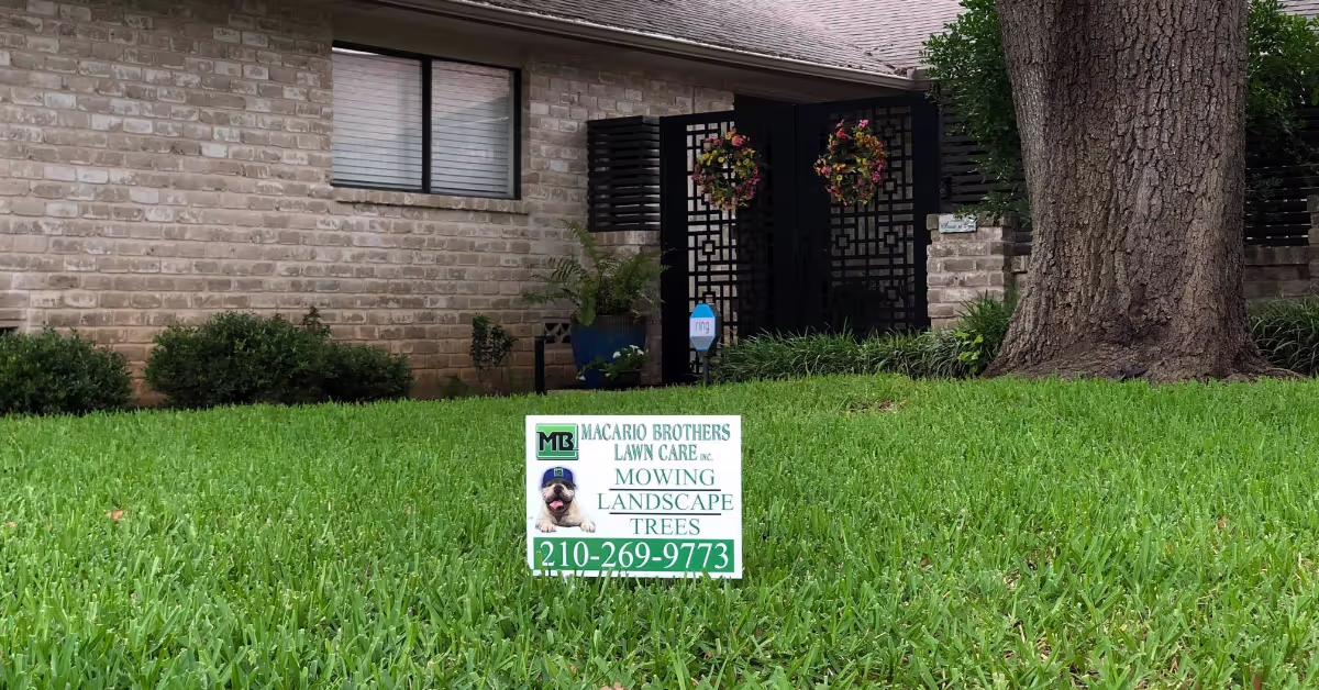 Macario Brothers Lawn Care team working on a San Antonio lawn