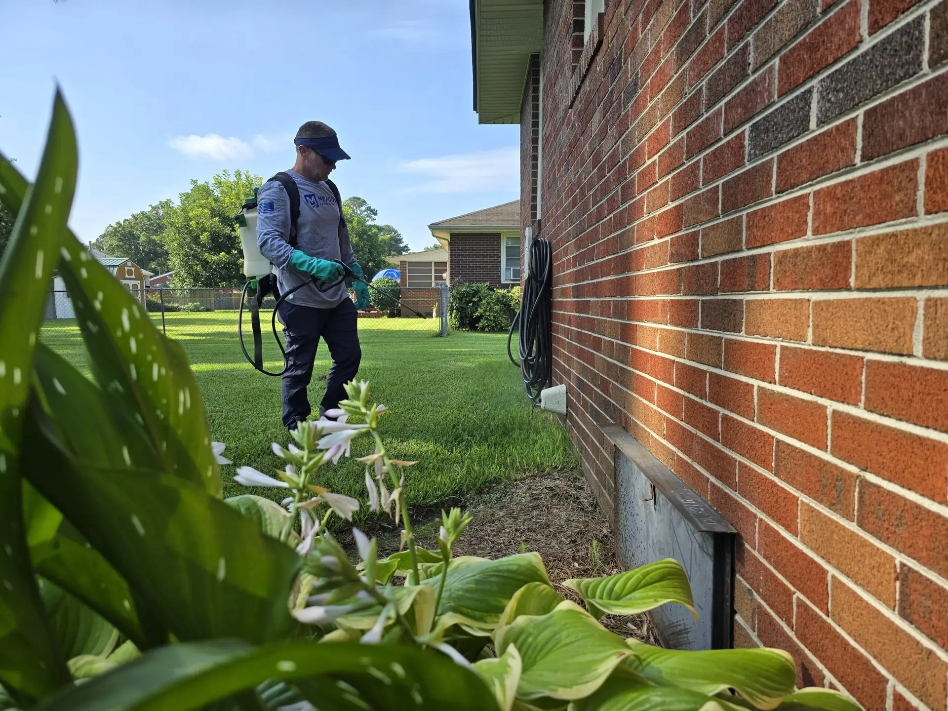 Most reliable lawn & pest service