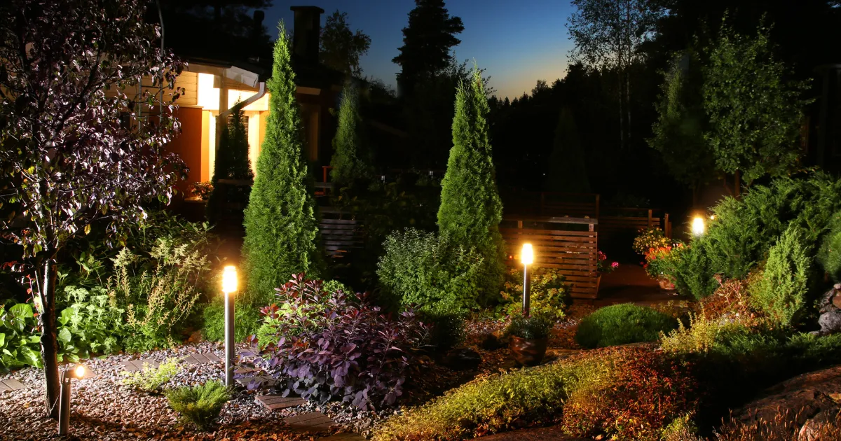 Landscaped garden lit by pathway lights and uplights at dusk