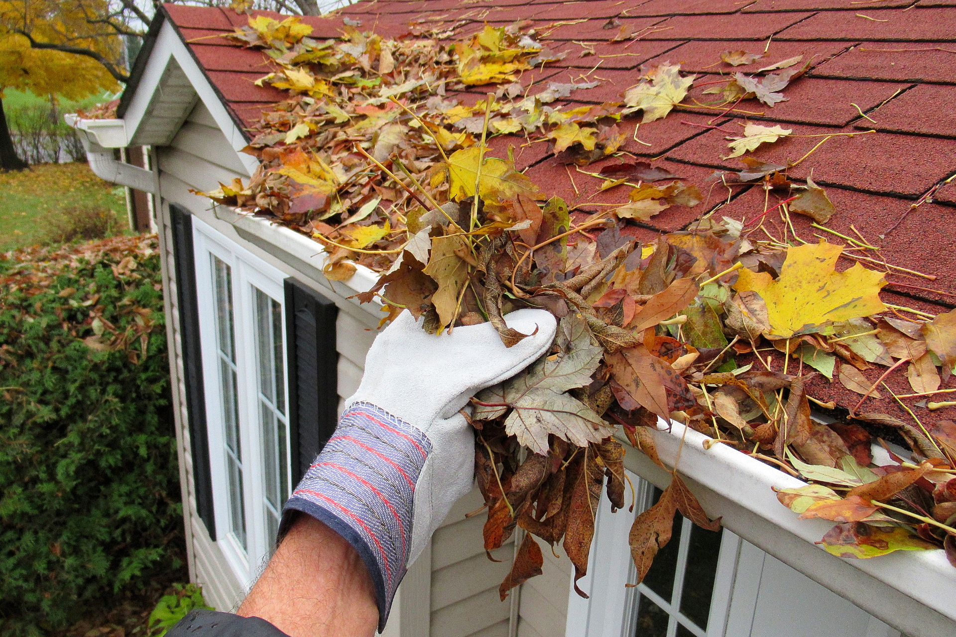 Gutter cleaning technician clearing leaves from a roof gutter