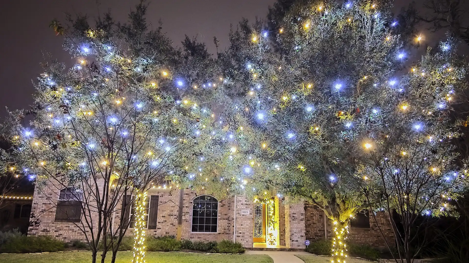 Brick home at night with oak trees wrapped in warm white and blue lights