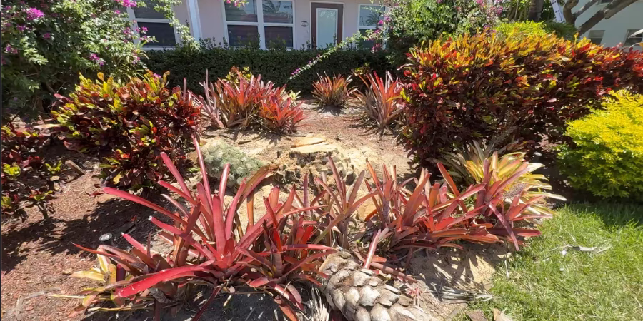 Landscape Maintenance & Trimming Services | Sunlight Landscape