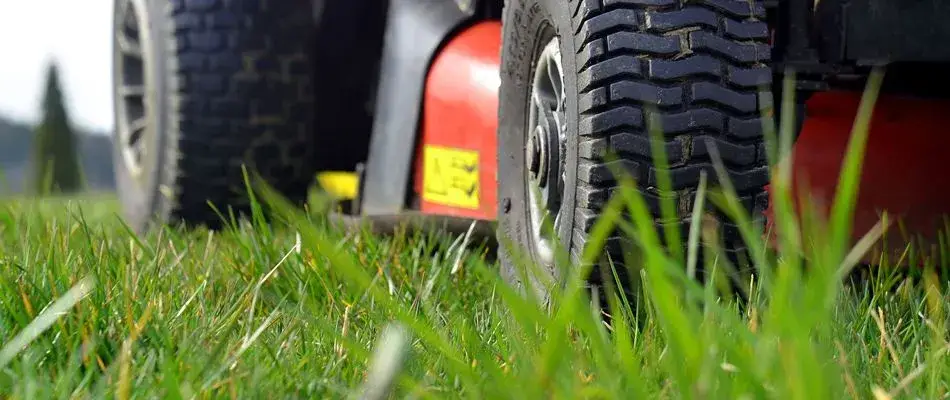 content lawn mower cutting tall grass 1920w