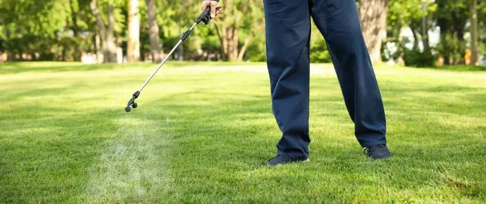 Yard Boss professional applying liquid pre-emergent weed control treatment to a Lincoln, Nebraska lawn