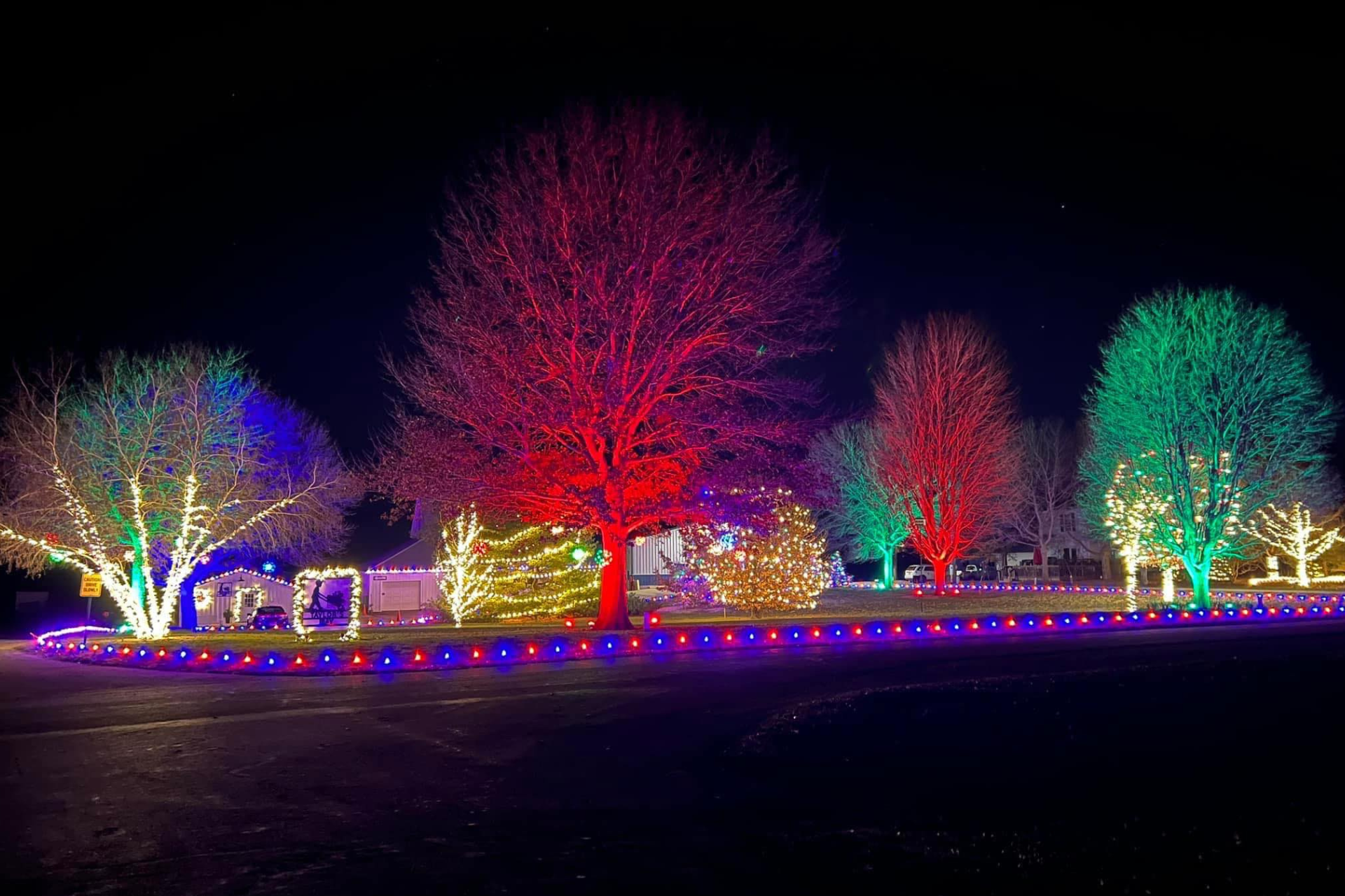 Trees wrapped in colorful holiday lights at night by Taylor's Way