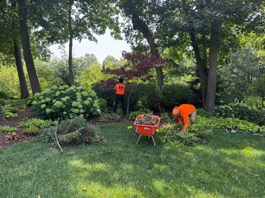 Taylor's Way project photo