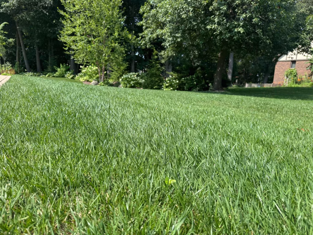 Taylor's Way project photo