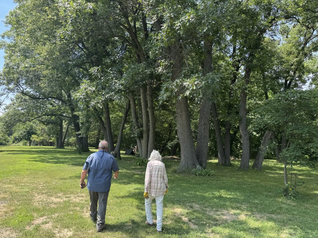 Taylor's Way project photo