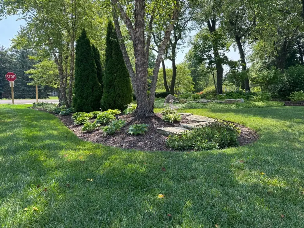 Taylor's Way project photo