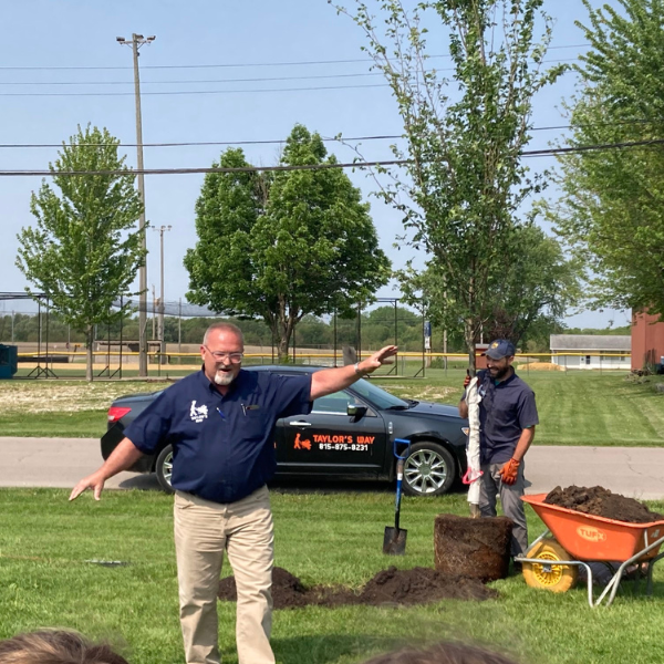 Taylor's Way planting