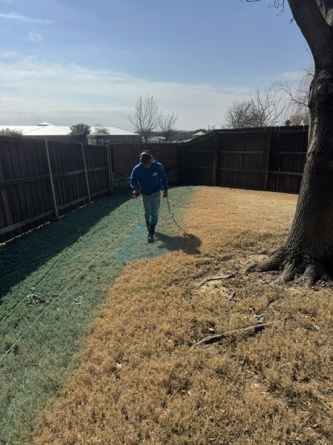 Buffalo Outdoor technician spraying a liquid treatment across a dormant lawn in Fort Worth, TX
