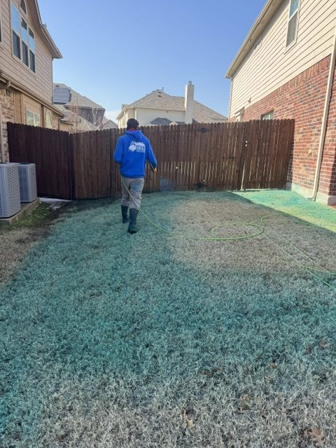Buffalo Outdoor technician applying a liquid lawn treatment to a dormant Bermuda lawn in a Fort Worth, TX backyard