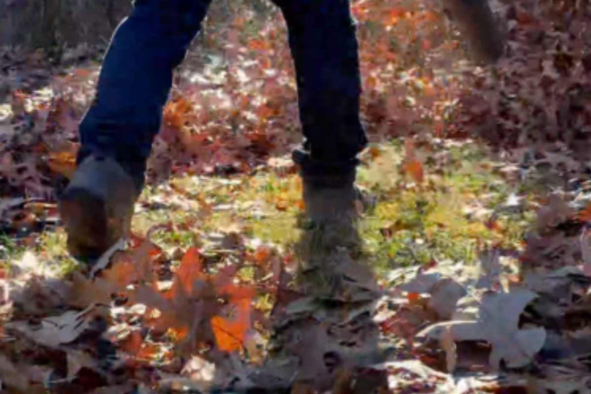 A person walking through a thick layer of fallen leaves that need removal from a lawn