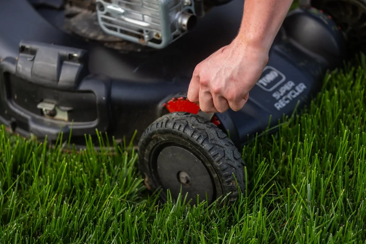 Homeowner adjusting the wheel-height lever on a lawn mower