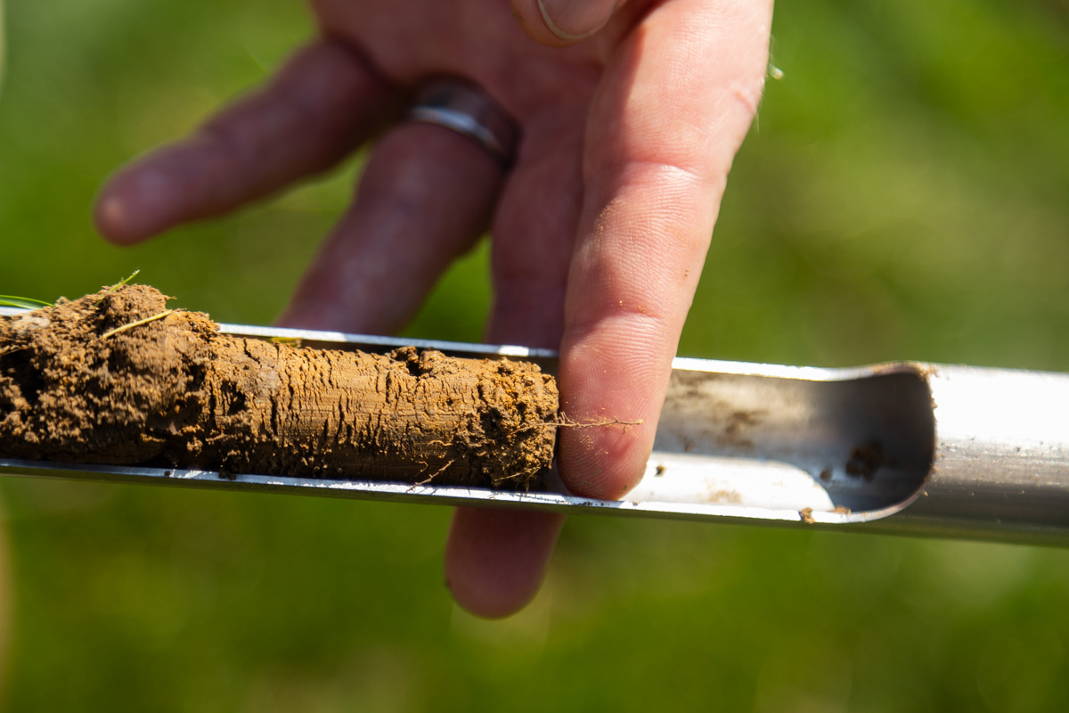 Hand holding a soil probe with a fresh soil core