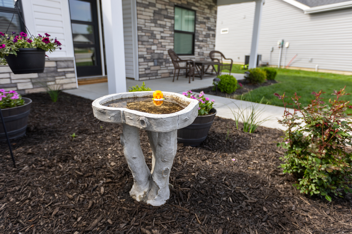 Birdbath holding standing water in a mulched bed beside a front porch