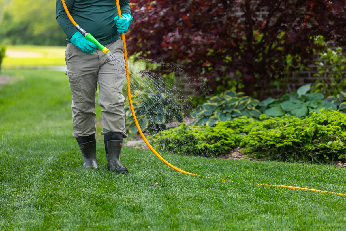 Technician in gloves and rubber boots spraying a lawn beside a hosta and evergreen bed