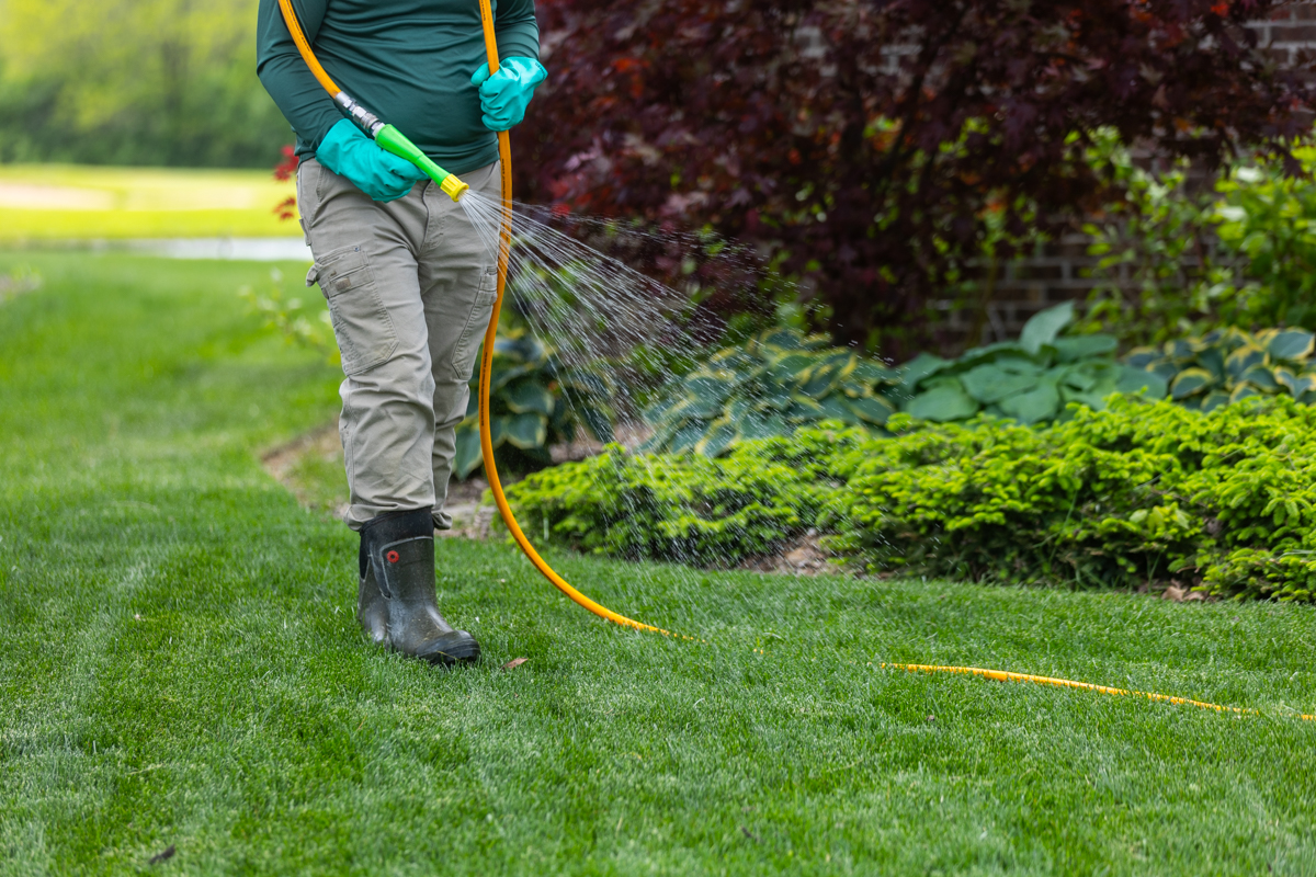 Technician in gloves and boots spraying a lawn with a hose-fed spray wand