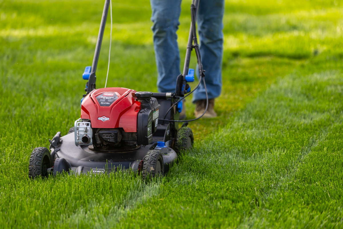 Push mower cutting a stripe through a green lawn