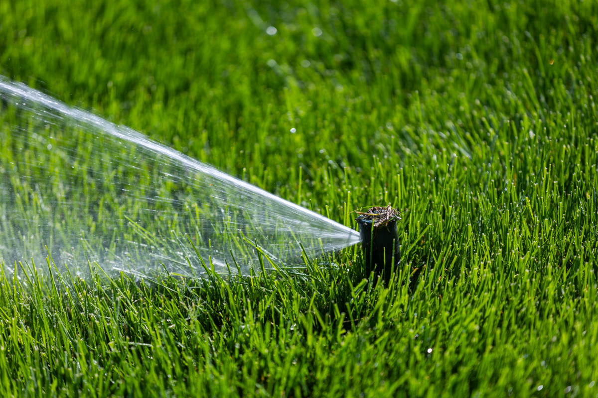 Pop-up sprinkler spraying across thick green grass