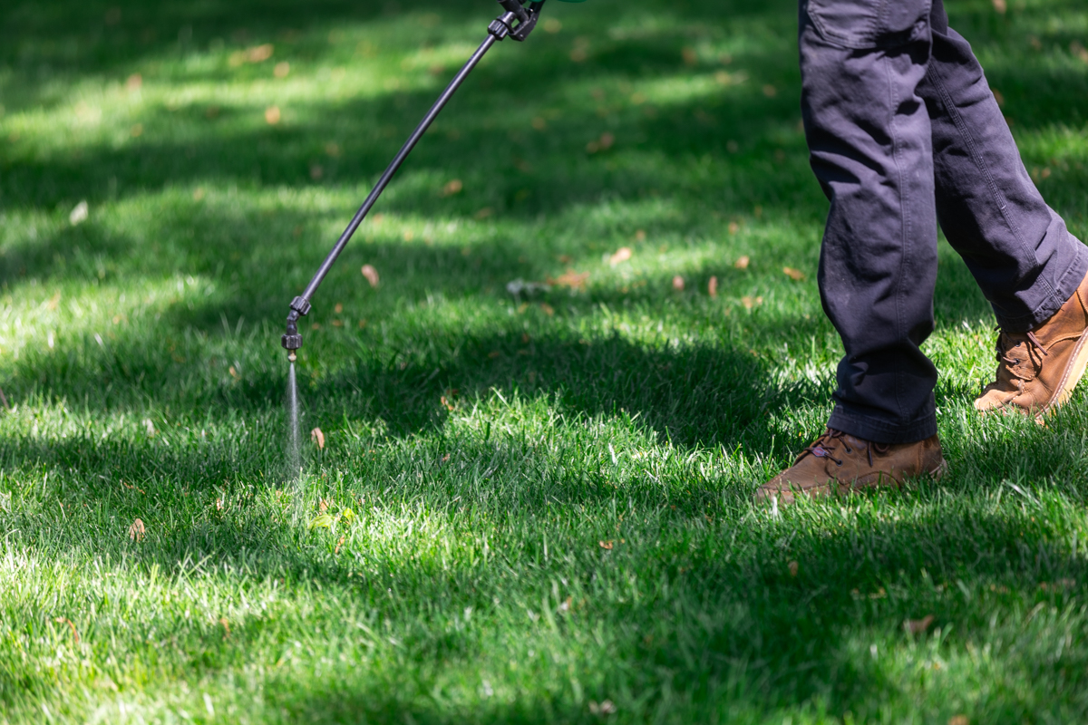 Technician spot-spraying a shaded lawn with a sprayer wand