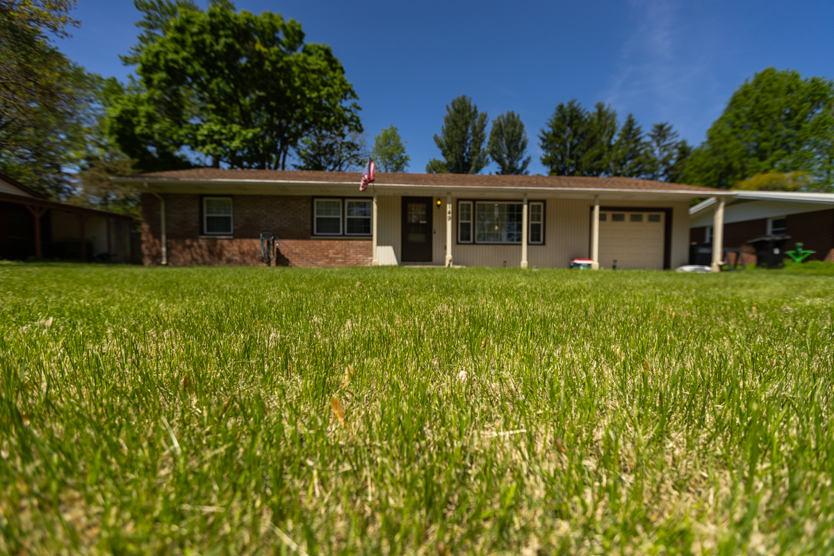 Yellowing, stressed front lawn of a brick ranch home
