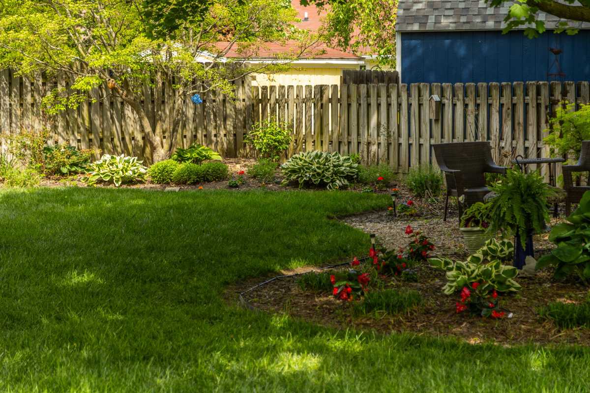 Backyard lawn edged by shade-garden beds and a wooden fence