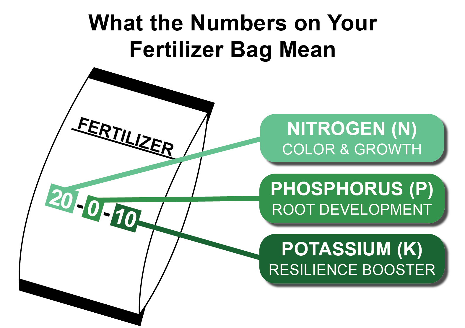 Graphic of a 20-0-10 fertilizer bag: nitrogen for color and growth, phosphorus for roots, potassium for resilience