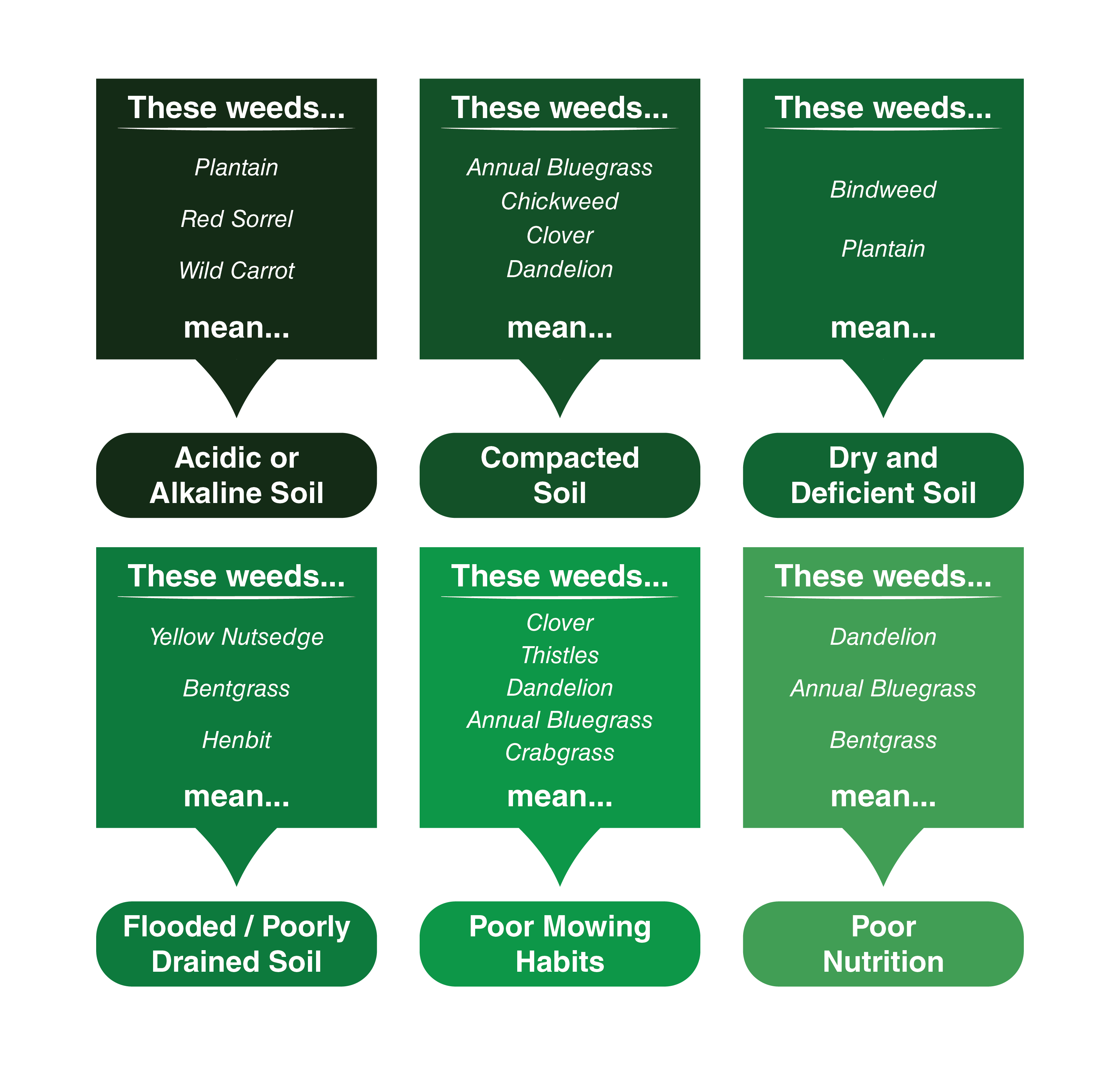 Chart pairing common weeds with the soil problem each signals, from compacted soil to poor drainage