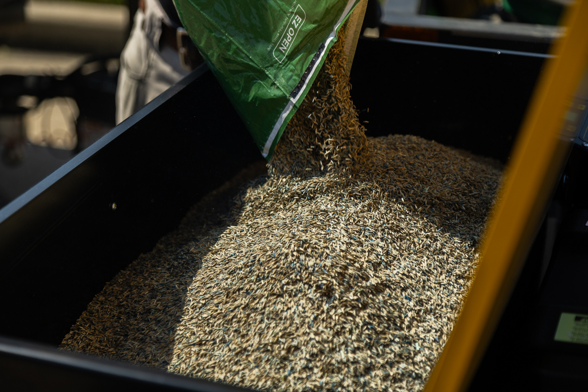 Grass seed pouring from a green bag into a spreader hopper