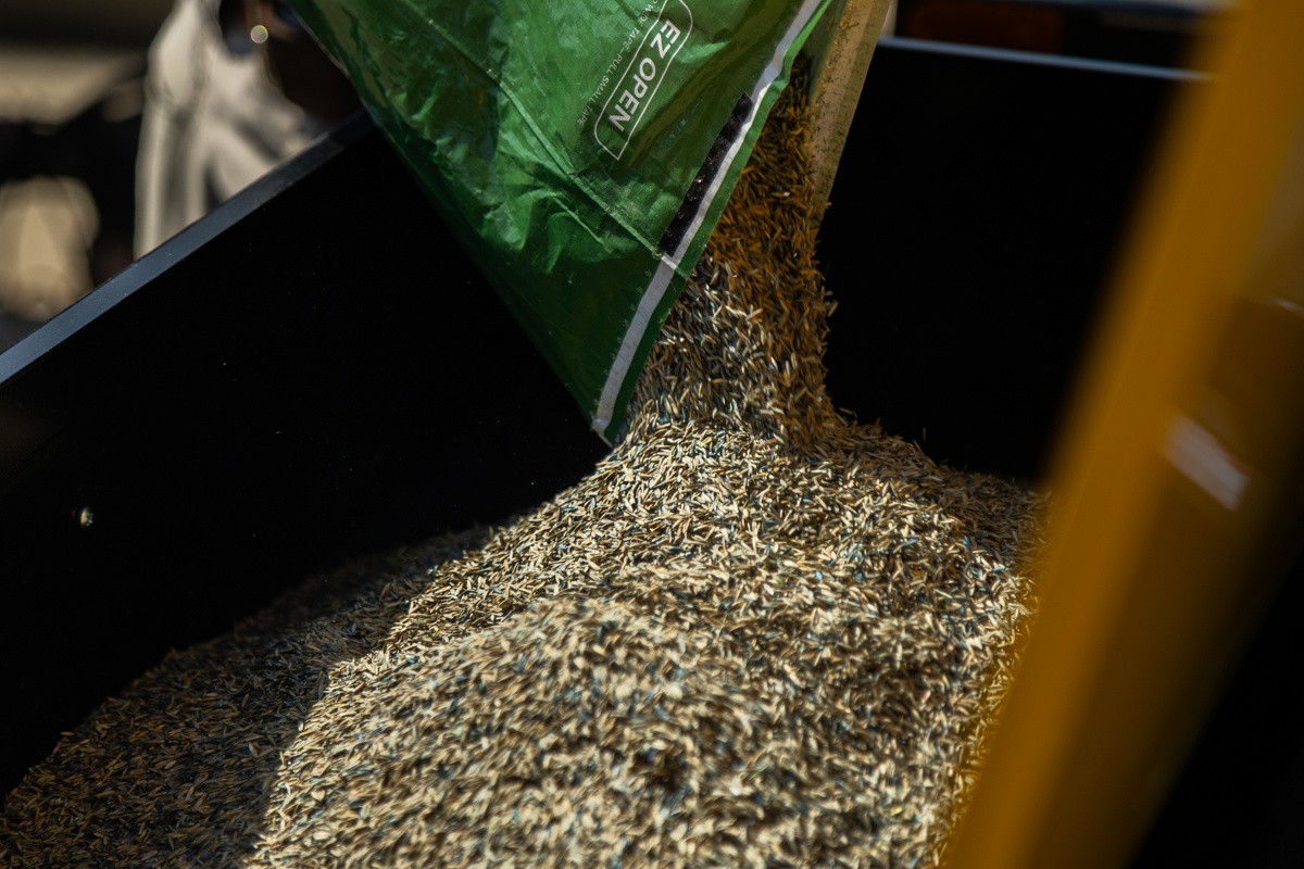 Close-up of grass seed piling up inside a spreader hopper