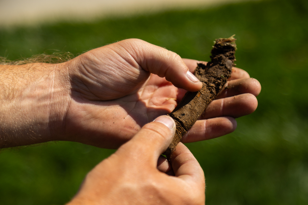 Hands breaking apart a soil core pulled from a lawn