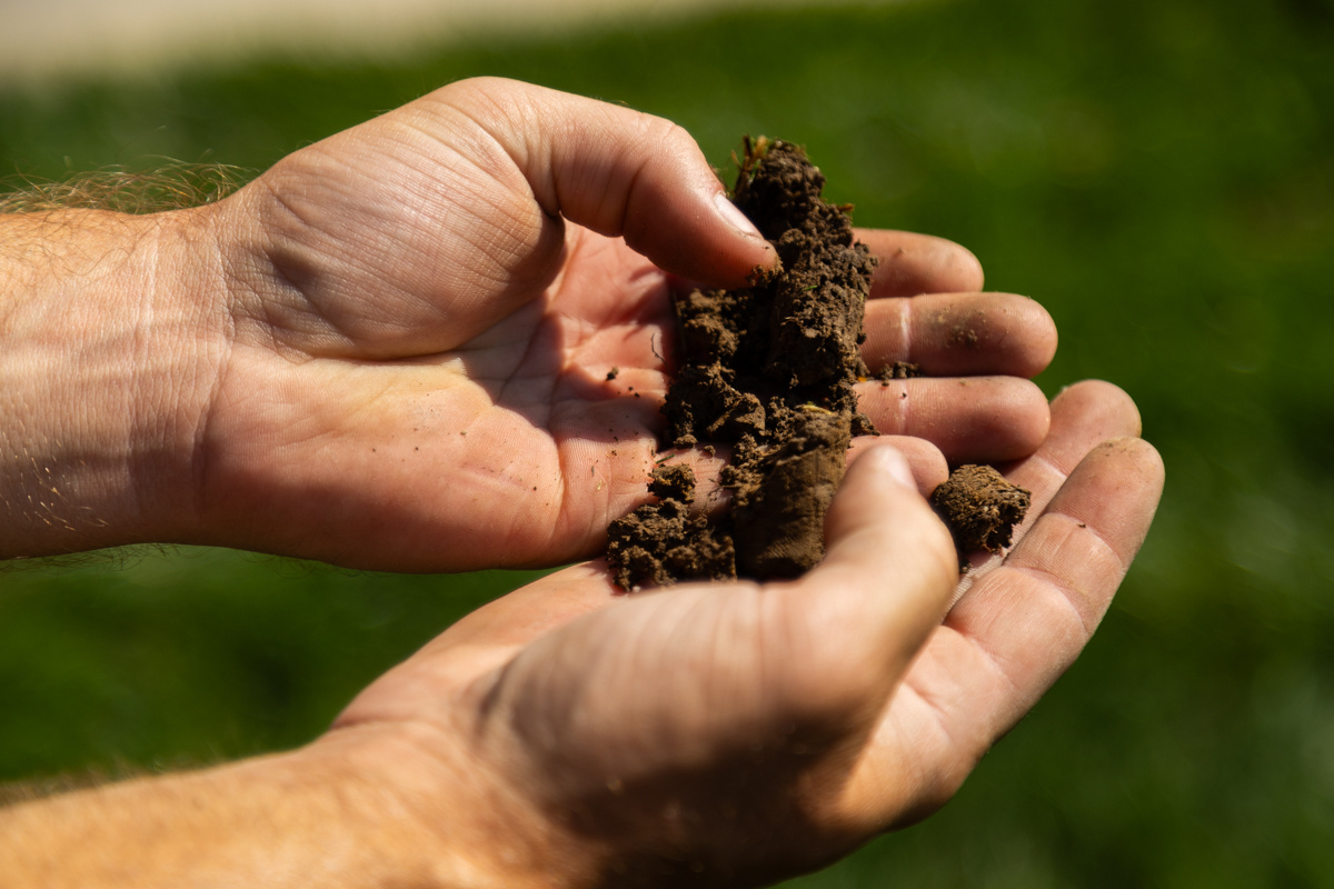 Hands crumbling a soil core over a green lawn