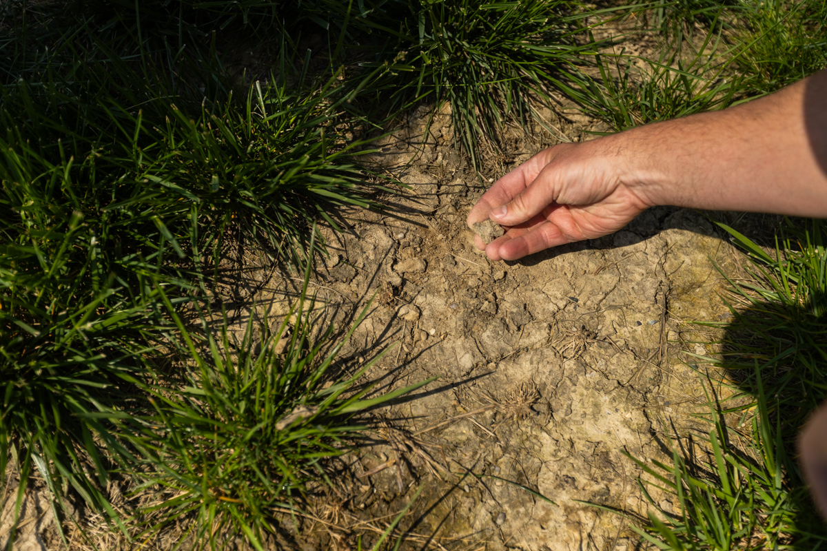 Hand touching dry, cracked soil in a bare patch of lawn