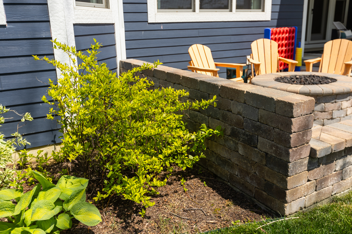 Shrubs and mulch in a shaded corner beside a stone patio wall