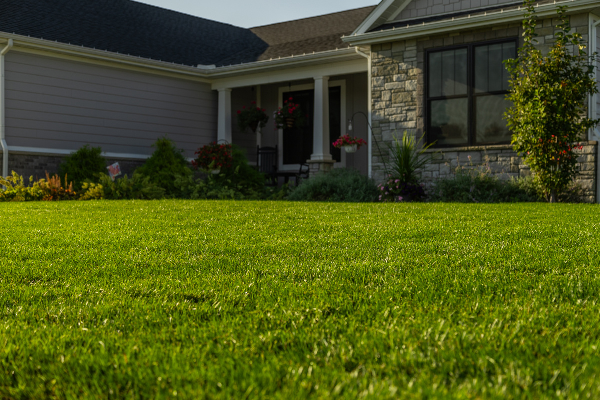 Thick green front lawn of a gray-sided home with stone accents