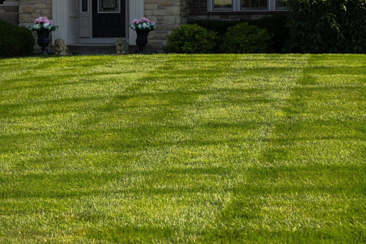 Freshly striped front lawn leading to a stone-front home