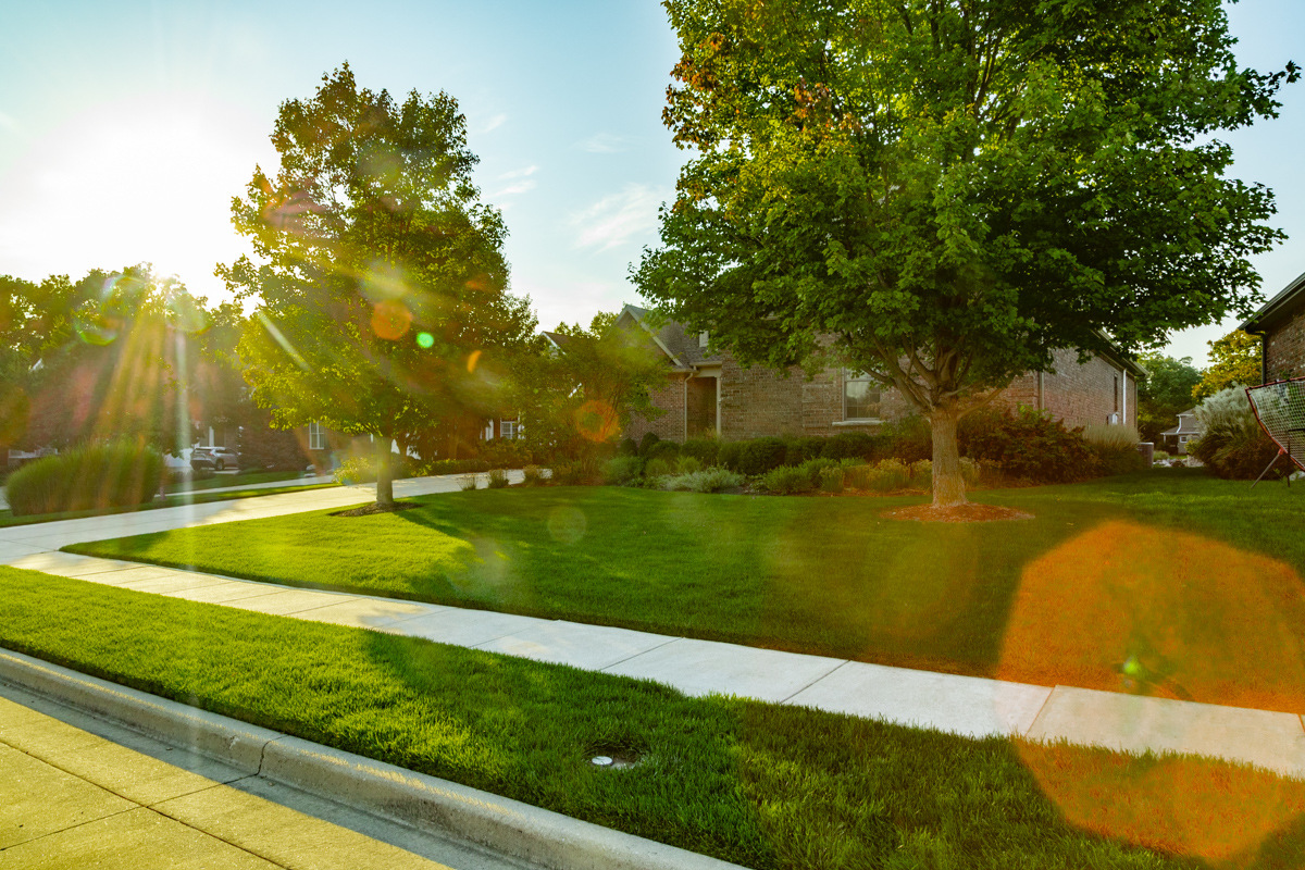 Green front lawn and shade trees along a neighborhood sidewalk, with the sun flaring through