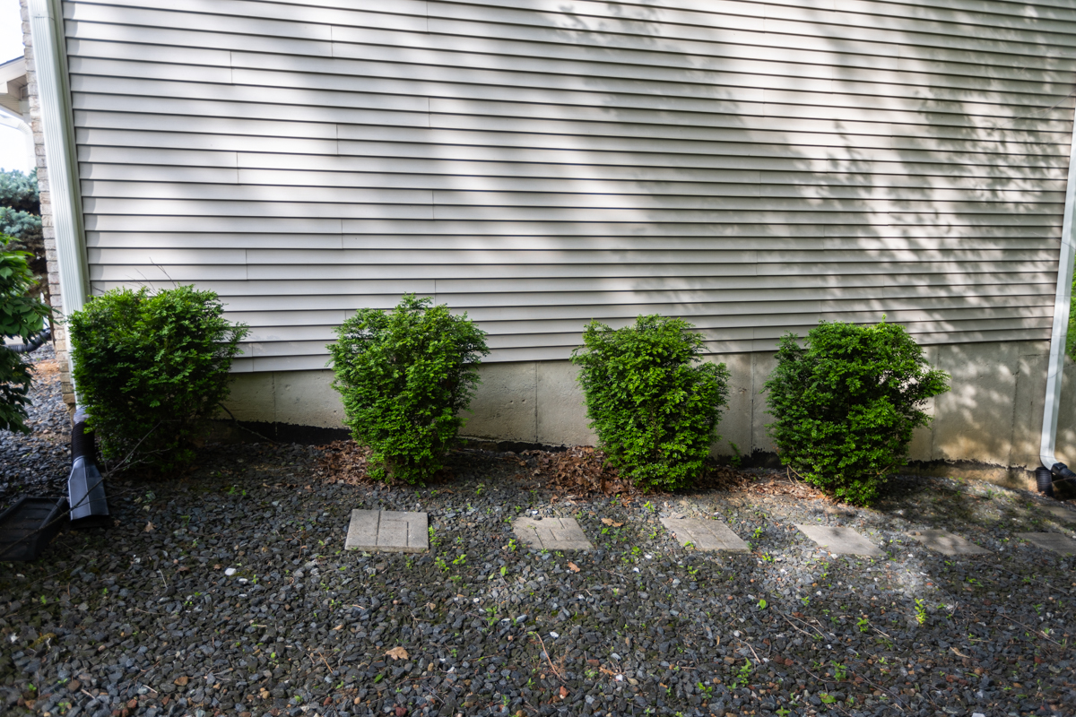 Row of shrubs in a gravel bed along a home's siding