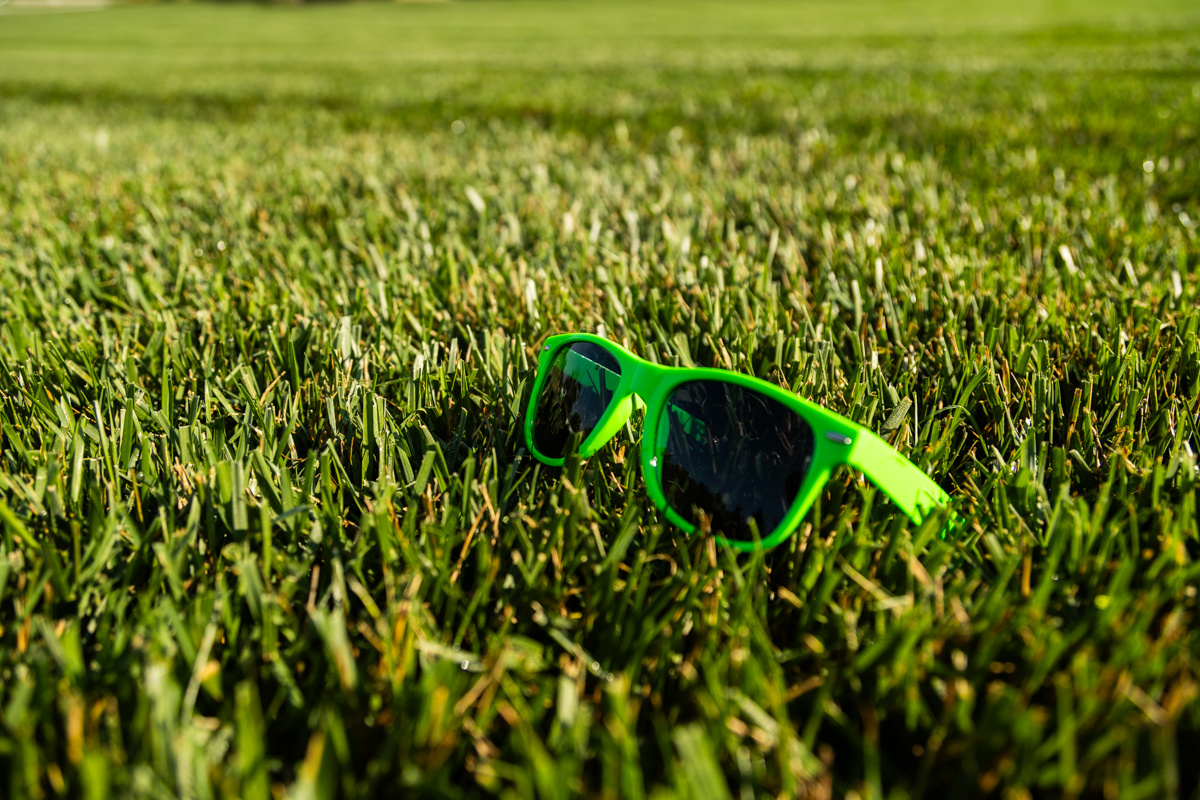 Green novelty sunglasses resting on top of thick grass