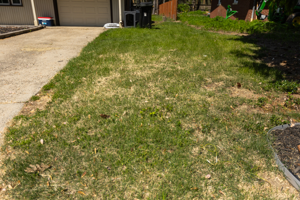 Thin, yellowing lawn with weeds and bare spots along a driveway