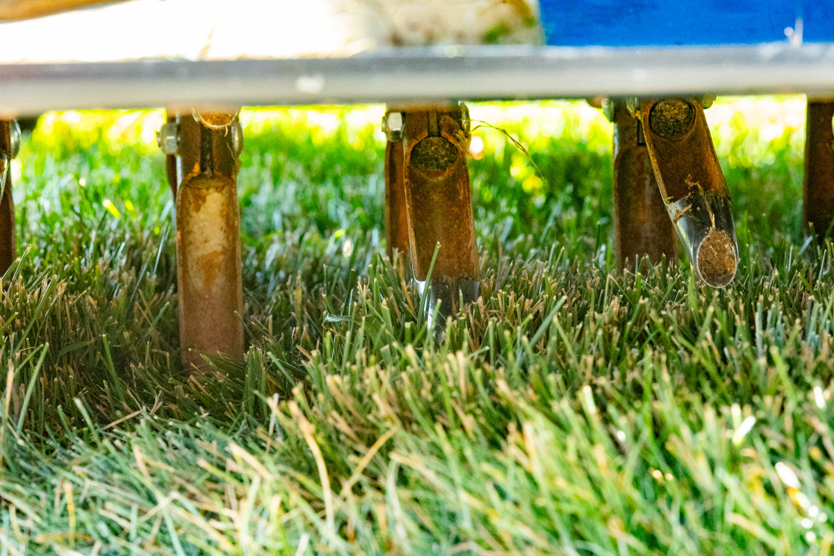 Close-up of aerator tines punching into a lawn