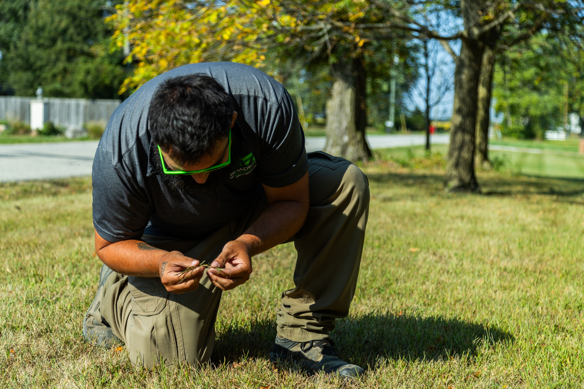 Technician in green sunglasses kneeling to examine grass blades