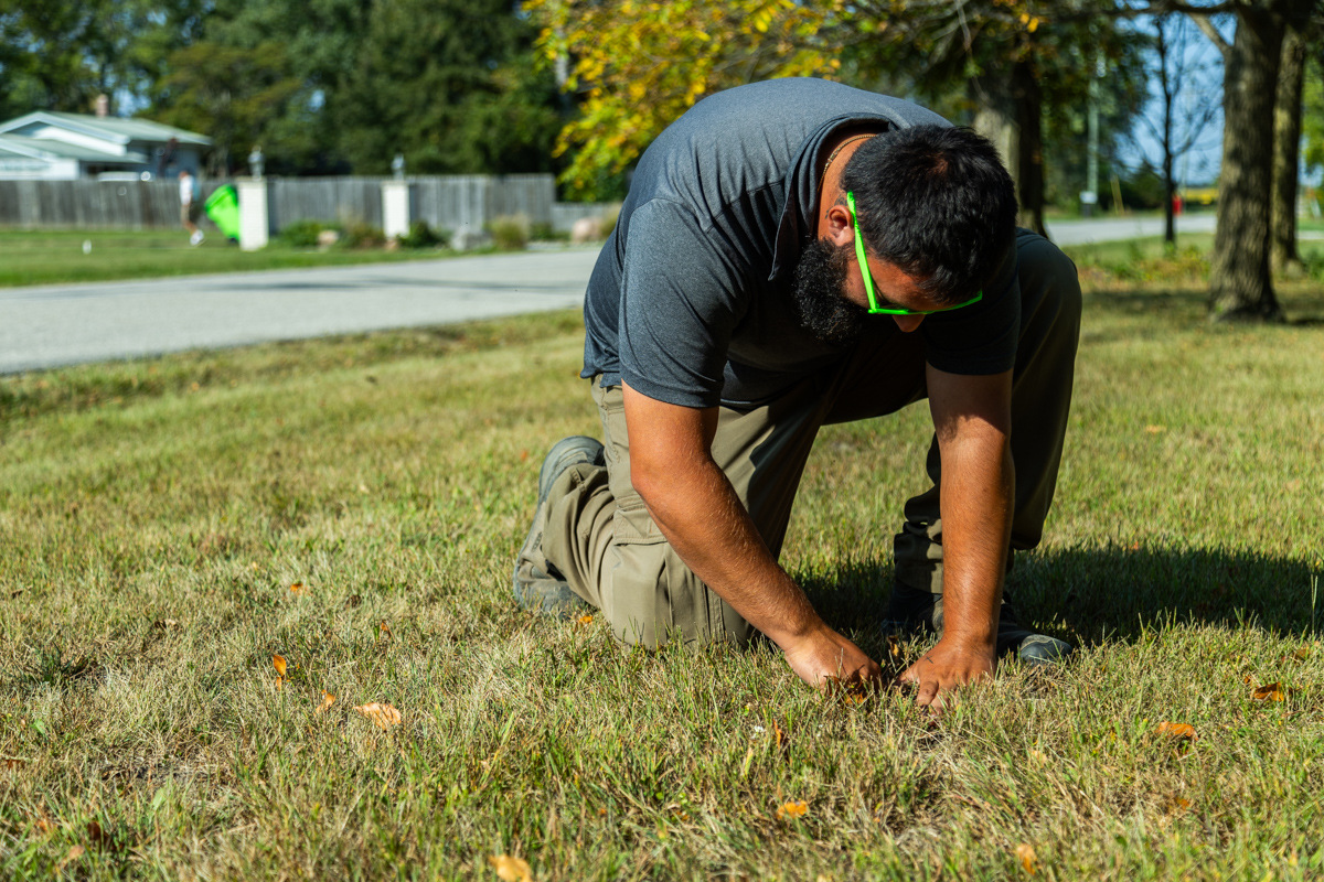 Technician on hands and knees tugging at grass in a struggling lawn