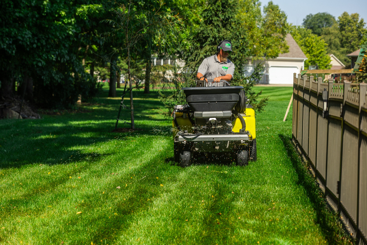 Technician driving a ride-on spreader down a striped side yard along a privacy fence