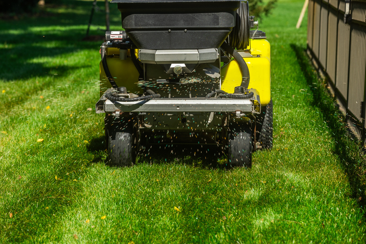 Fertilizer granules flying from a ride-on spreader along a fence line